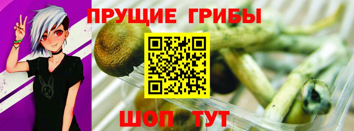 Псилоцибиновые грибы Psilocybine cubensis  Вход с VPN  Алапаевск 